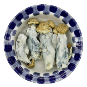 import placeholder for 1807