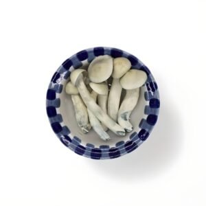 import placeholder for 2002