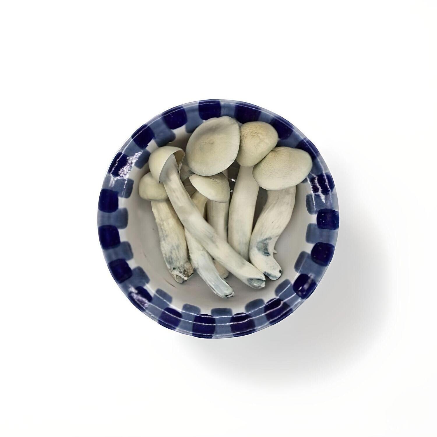 import placeholder for 2002