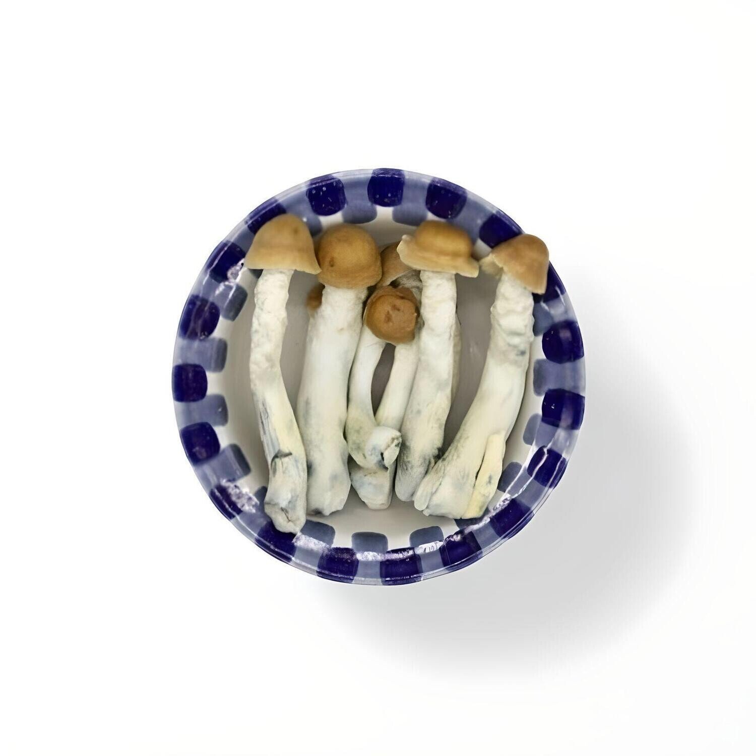 import placeholder for 1997