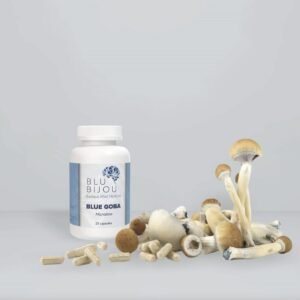 import placeholder for 1562