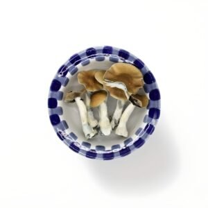 import placeholder for 1742