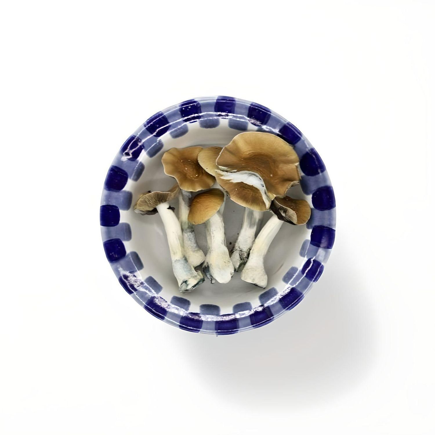 import placeholder for 1742