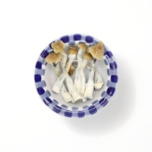 import placeholder for 1771