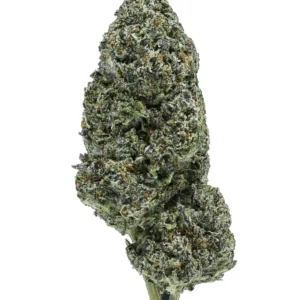 black cherry gelato thca flower