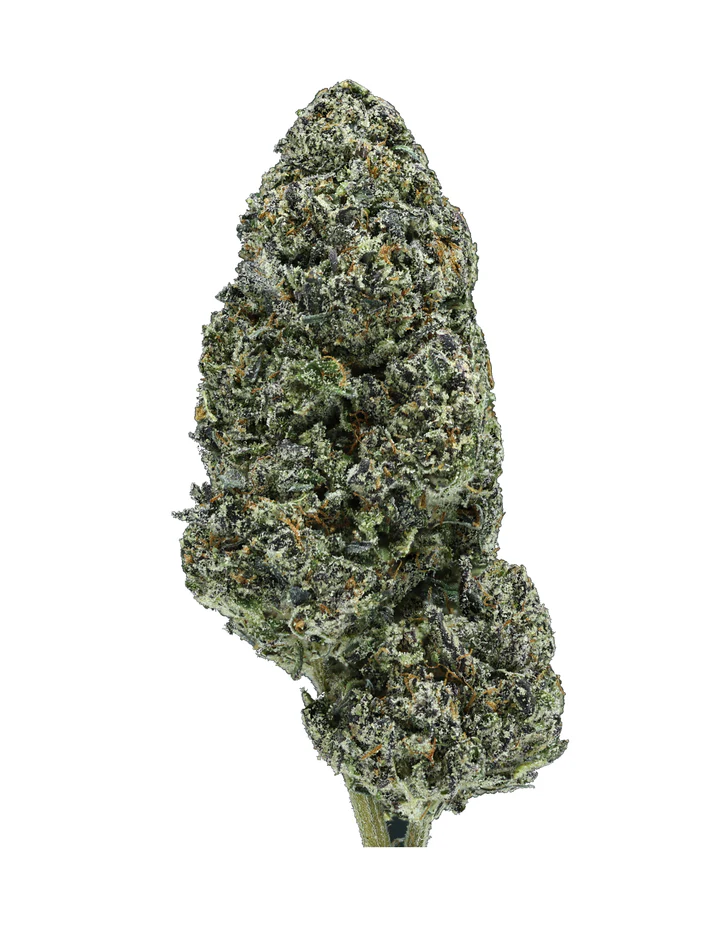 black cherry gelato thca flower