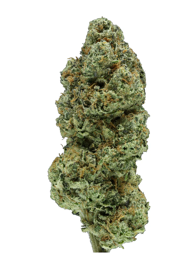 cereal milk thca flower